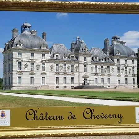 Les capucines ,proche Beauval&châteaux de la Loire Saint-Aignan  Exterior foto