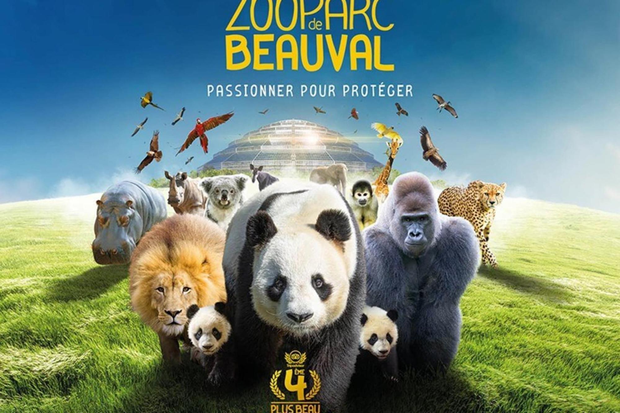 Les capucines ,proche Beauval&châteaux de la Loire Saint-Aignan  Exterior foto